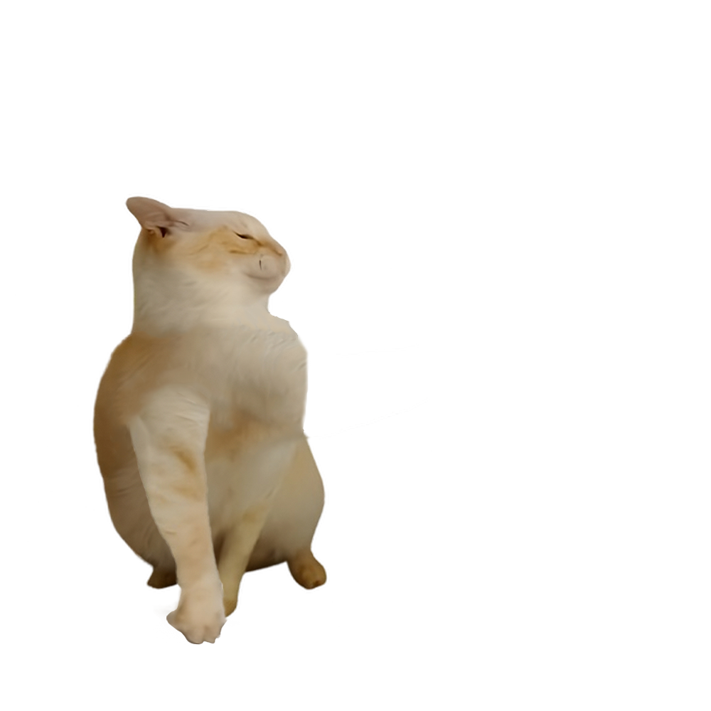The original photographic Smack Cat